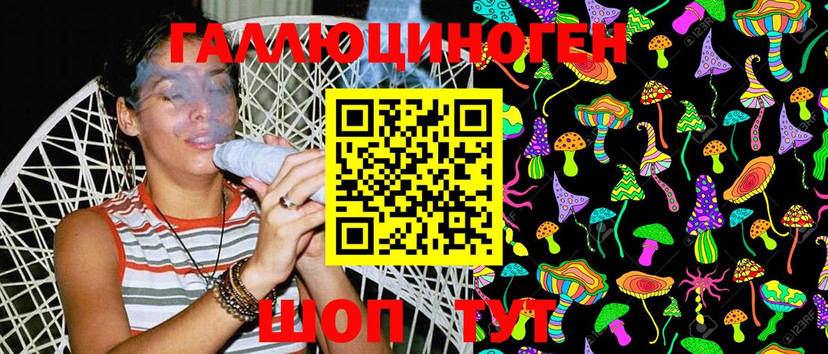 где купить наркотик  Вход с VPN  Галлюциногенные грибы Psilocybe  Чистополь  Галлюциногенные грибы Psilocybe 