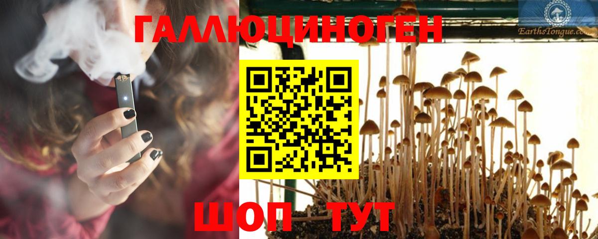 Псилоцибиновые грибы ЛСД Чистополь